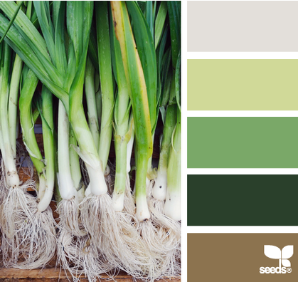 點(diǎn)擊查看原圖