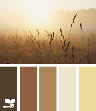 點(diǎn)擊查看原圖