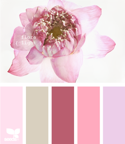 點(diǎn)擊查看原圖