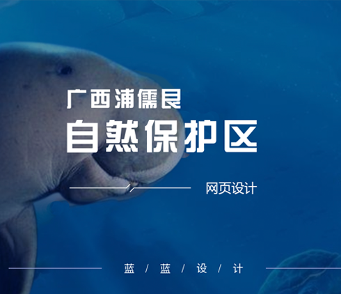 保護區(qū)網站界面設計